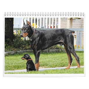 Doberman Calendar