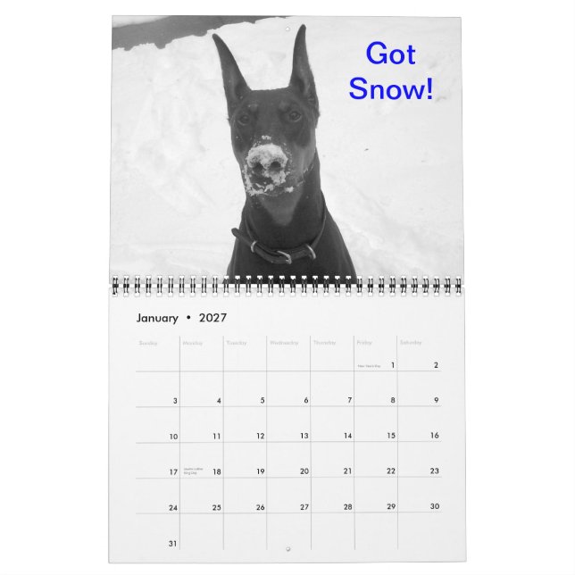 Doberman Calendar (Jan 2027)