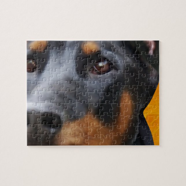 Doberman Close Up Jigsaw Puzzle (Horizontal)