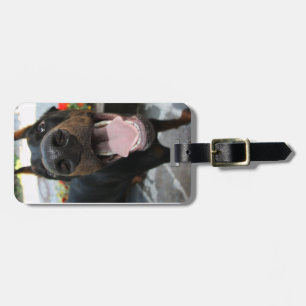 doberman-close up luggage tag