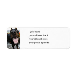 doberman-close up return address label