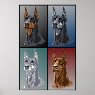 Doberman Colours Poster