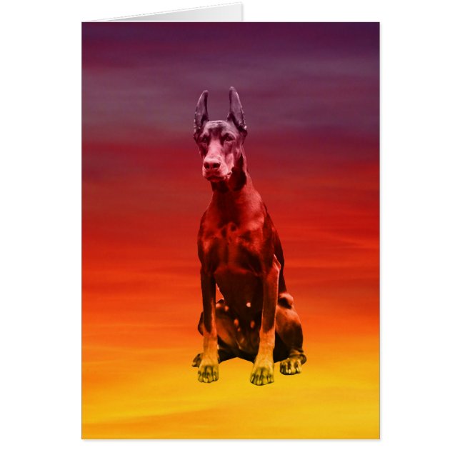 Doberman Dog Sitting On Beach (Front)