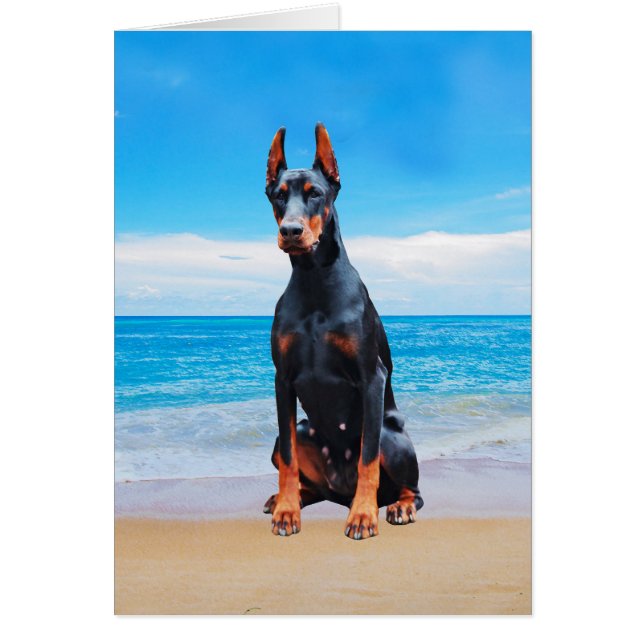Doberman Dog Sitting On Beach (Front)
