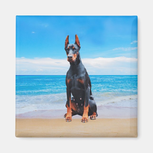 Doberman Dog Sitting On Beach Magnet (Front)