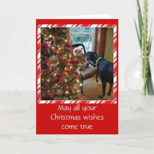 Doberman dog, Teddy Bear, Christmas greeting card