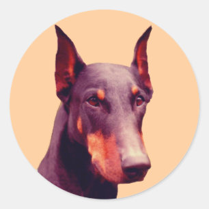 Doberman Face Dog  Classic Round Sticker