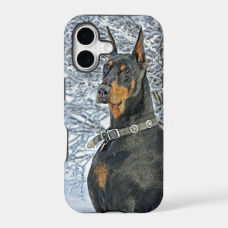 Doberman Frosty Day