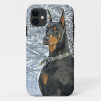 Doberman Frosty Day
