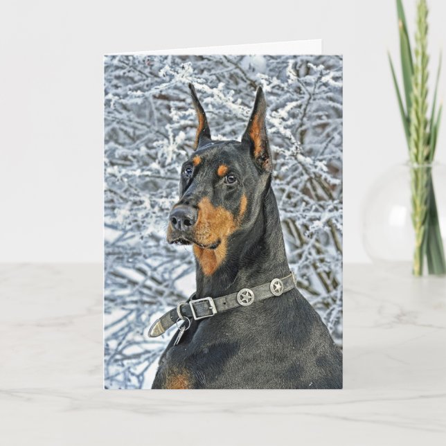 Doberman Frosty Day Holiday Card (Front)