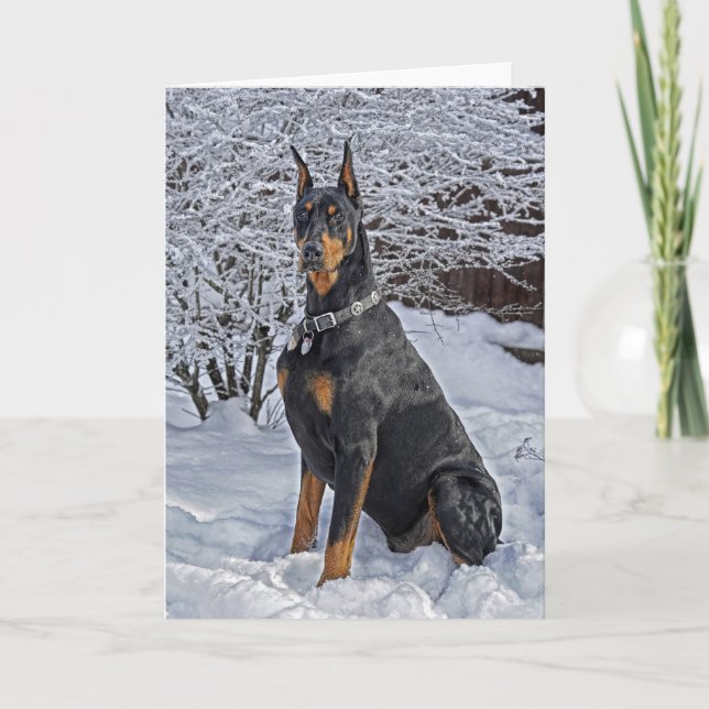 Doberman Frosty Morning Holiday Card (Front)