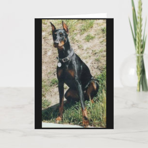 Doberman greeting card