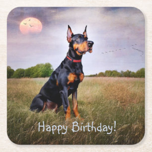 Doberman Happy Birthday Square Paper Coaster
