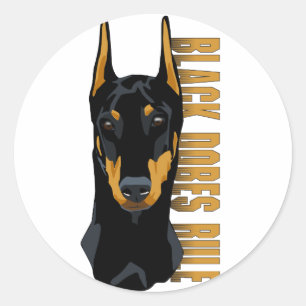 Doberman Head, Black Dobes Rule Classic Round Sticker