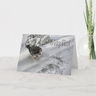 Doberman Holiday Bliss Greeting Card