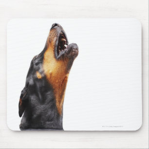 Doberman howling mouse pad