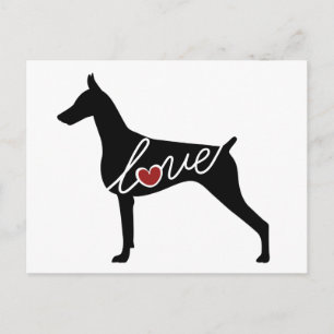 Doberman Love Postcard