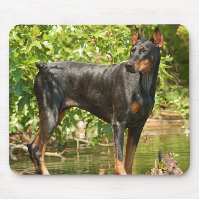 Doberman Mouse pad (Front)