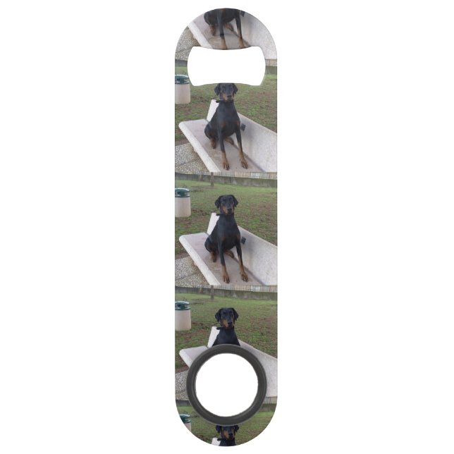 doberman pincher sitting (Front)