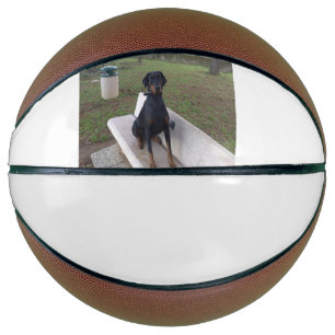 doberman pincher sitting basketball