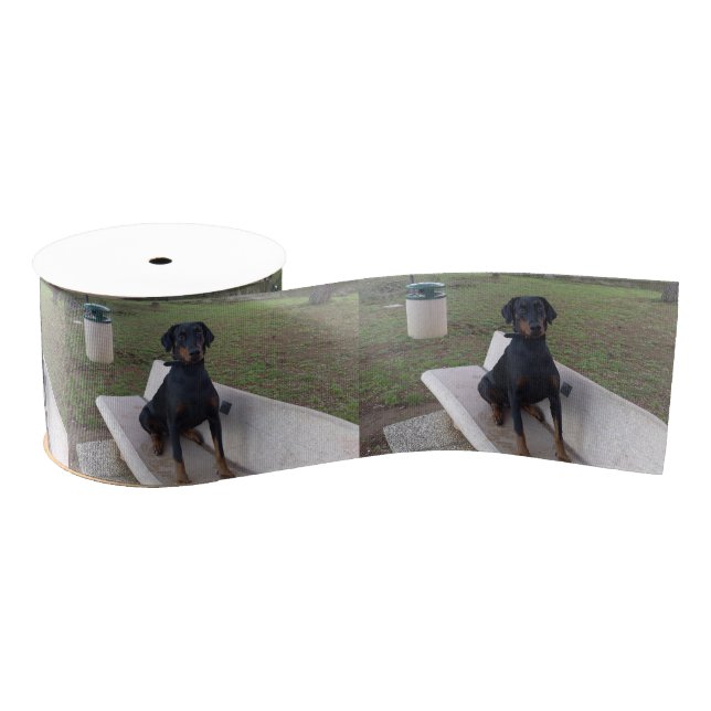 doberman pincher sitting grosgrain ribbon (Spool)
