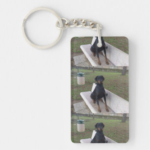 doberman pincher sitting key ring