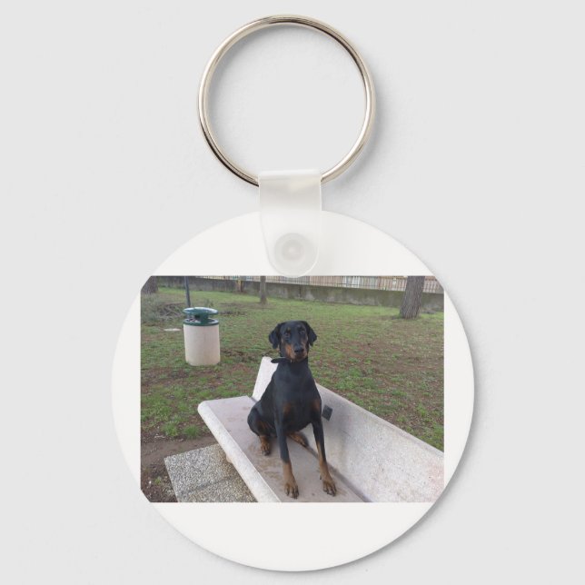 doberman pincher sitting.png key ring (Front)