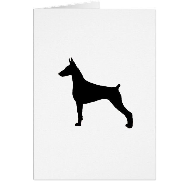 doberman pinscher (Front)