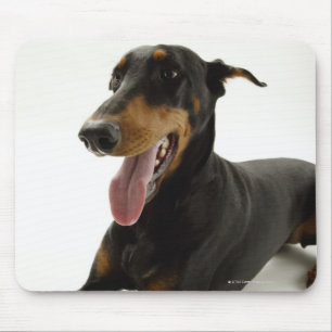 Doberman Pinscher 2 Mouse Pad