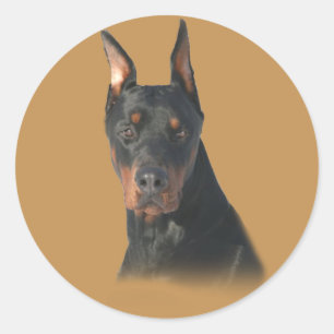 Doberman Pinscher Awesome Sticker