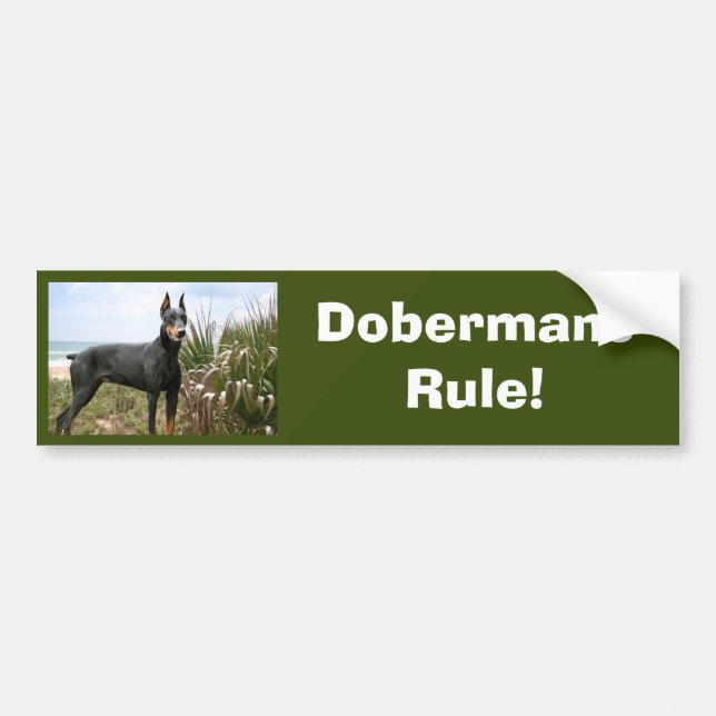 Doberman Pinscher Bumper Sticker (Front)
