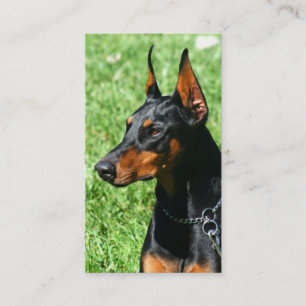 Doberman Pinscher business cards