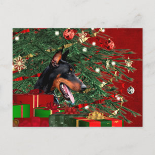 Doberman pinscher Christmas Holiday Postcard
