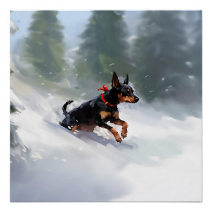 Doberman Pinscher Christmas snow winter Poster