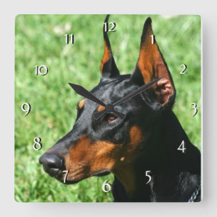 Doberman Pinscher dog clock