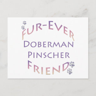 Doberman Pinscher Furever Postcard