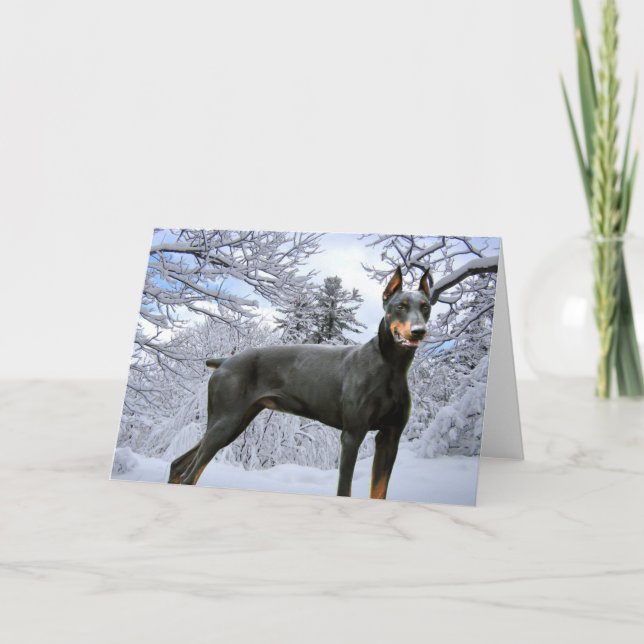 Doberman Pinscher Greeting Card (Front)