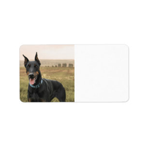 Doberman Pinscher In Field Label