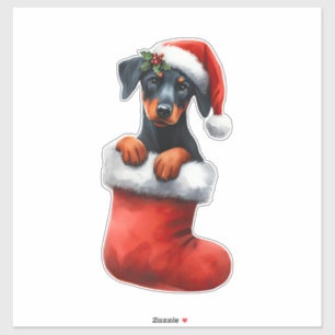 Doberman Pinscher In Sock Christmas Santa Hat Xmas