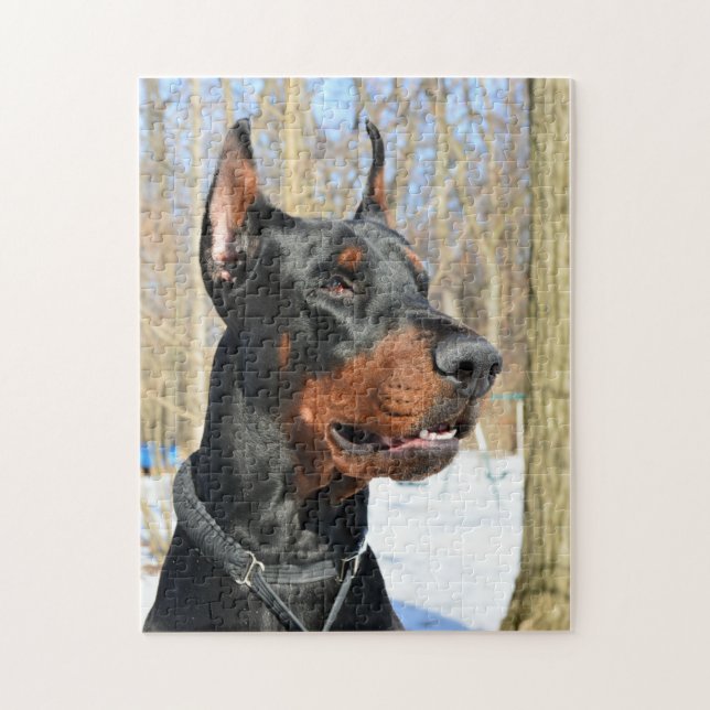 Doberman pinscher in the snow jigsaw puzzle (Vertical)