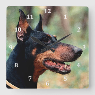 Doberman Pinscher in the Woods Square Wall Clock
