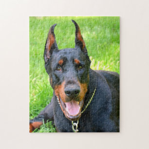 Doberman pinscher  jigsaw puzzle