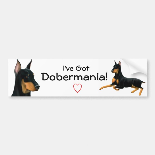 Doberman Pinscher Love Bumper Sticker (Front)