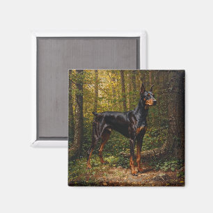 Doberman Pinscher Magnet
