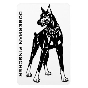 doberman pinscher magnet