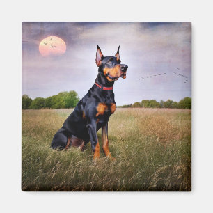 Doberman Pinscher Magnet