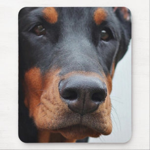 Doberman Pinscher Mouse Pad