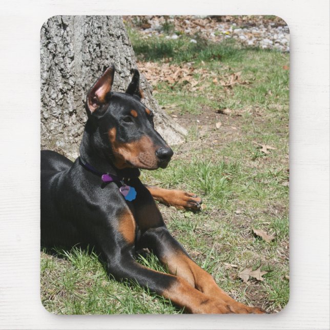 Doberman Pinscher Mouse Pad (Front)