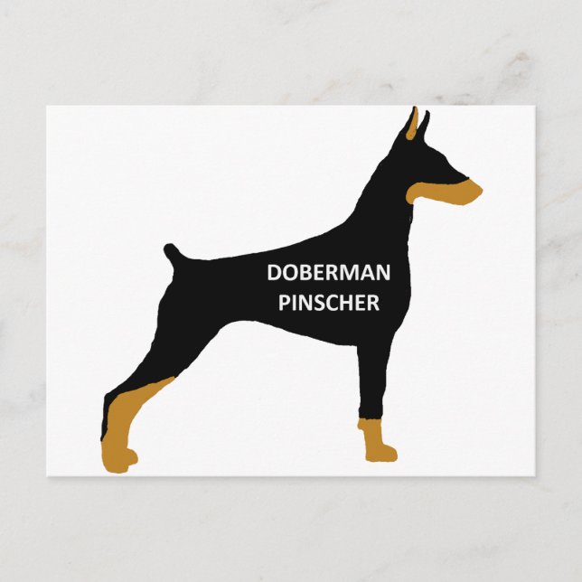 Doberman Pinscher name colour silo black Postcard (Front)