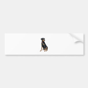 Doberman Pinscher (natural) Bumper Sticker